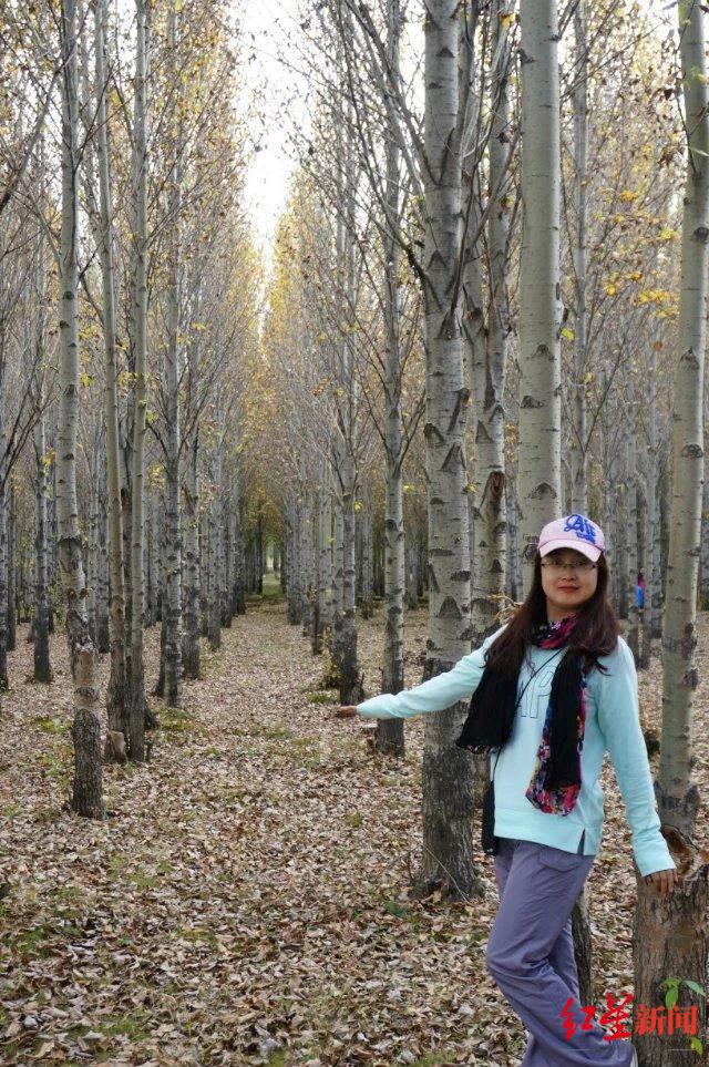 与成都，向未来 | 成都首批“产业建圈强链人才计划”入选者董娜：12年青春，同“城”发展